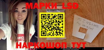 мдпв Кингисепп