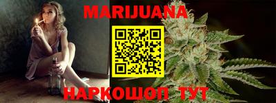 мдпв Кингисепп