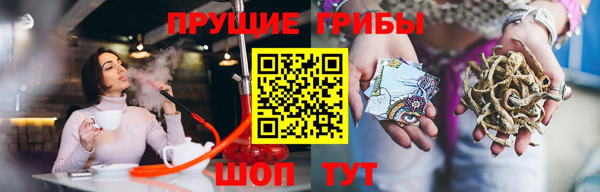 Заринск  Галлюциногенные грибы GOLDEN TEACHER  Вход с VPN 